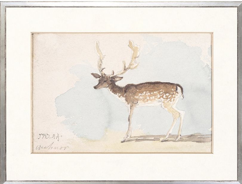 Collection 24 - WaterColour Deer