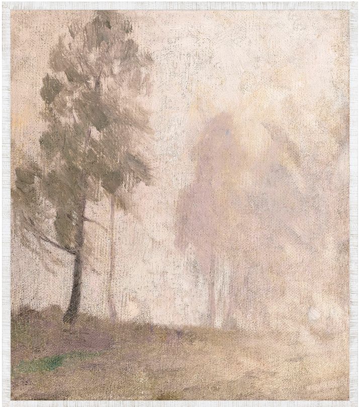 Collection 24 - Evening Haze