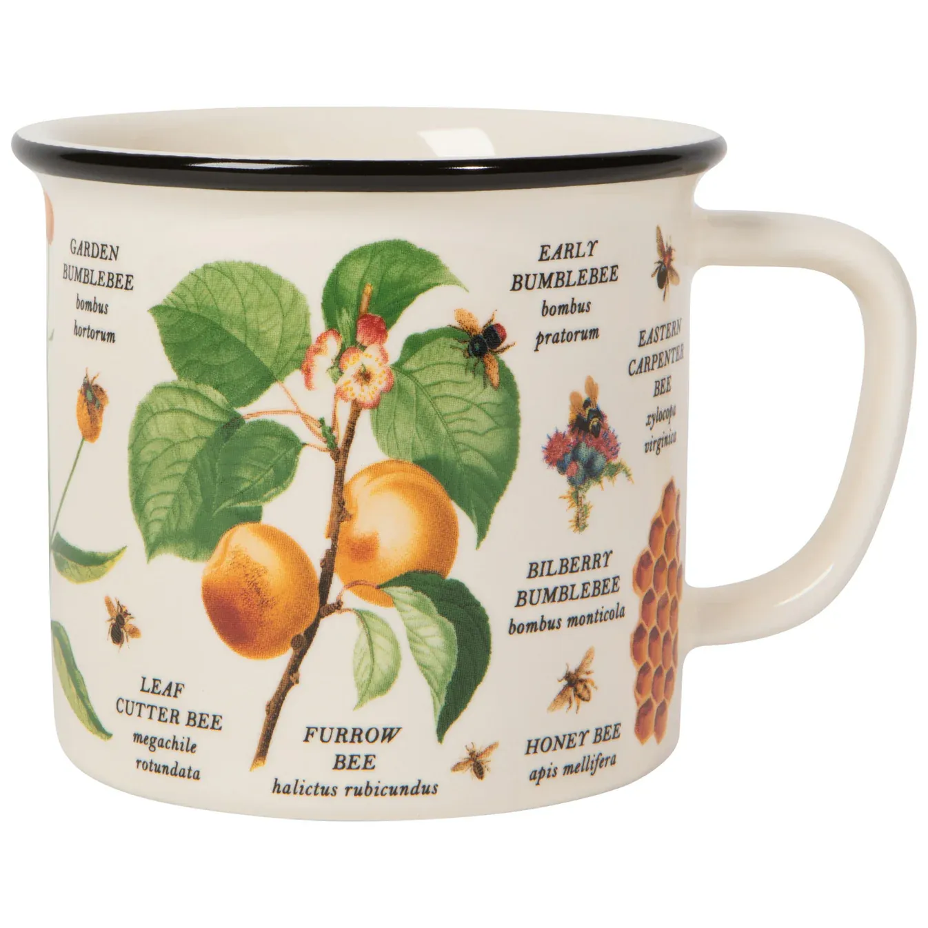 Heritage Mug - Bee Varieties