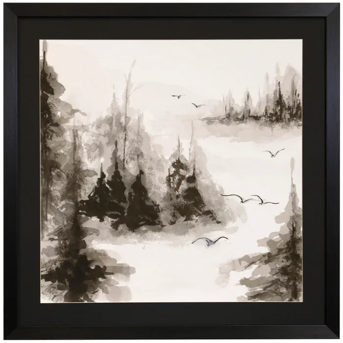 Free Flight III Framed Print