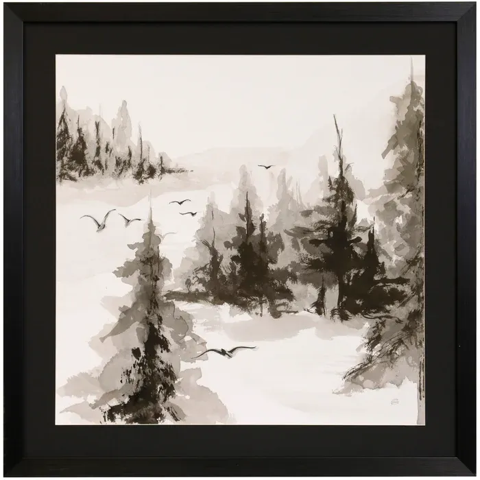 Free Flight IV Framed Print