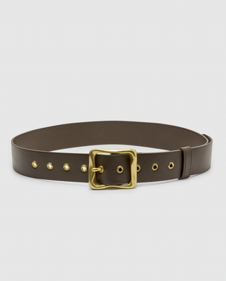 Everyday Buckle Belt - Chocolate/Gold