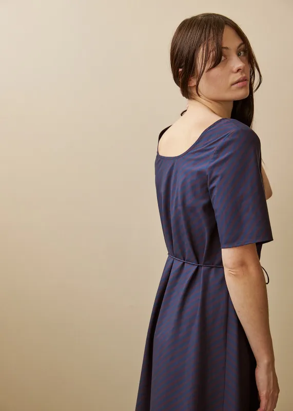 Tempo Dress - Oxford Plum Stripe