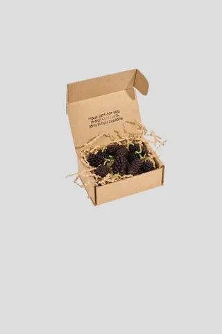 Blackberry Beeswax Candles - Box of 10