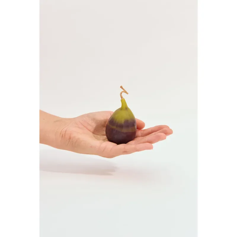 Fig Beeswax Candle