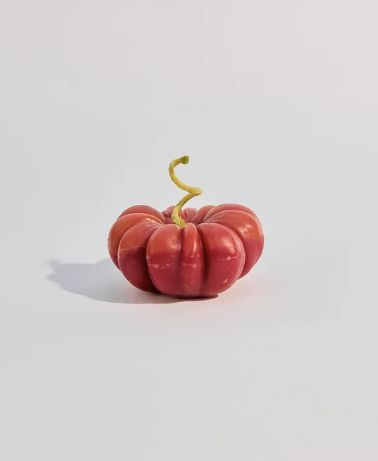 Heirloom Tomato Beeswax Candle - Large Red