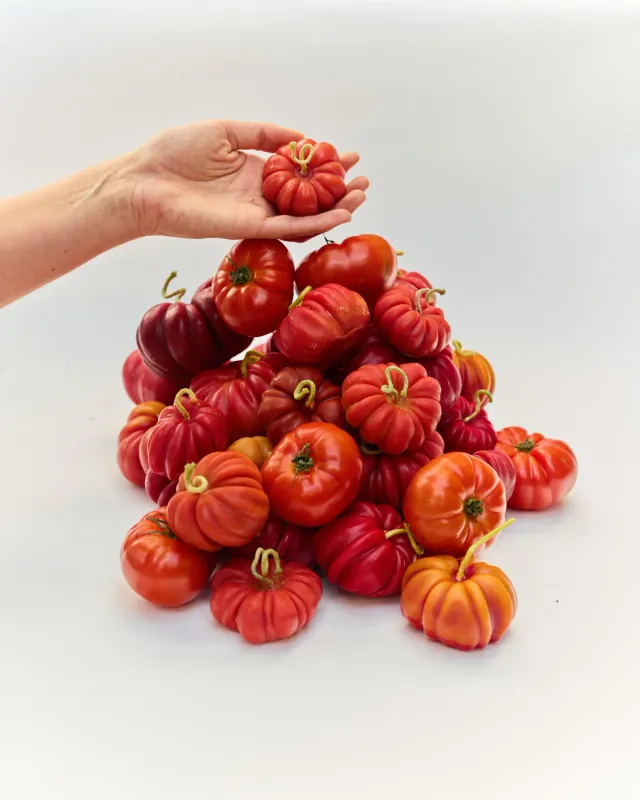 Heirloom Tomato Beeswax Candle - Large Red