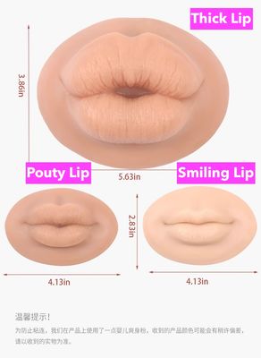 3D Silicone Lips for Lip Filler Practicing, Lip Filler injections, Lips Piercings, Cosmetic injections, Lip Filler Training, Makeup Practice