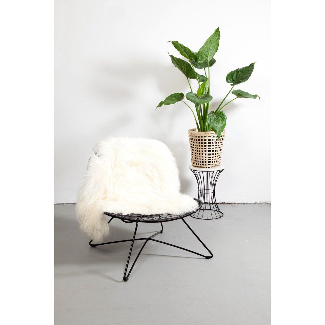 Schapenvel Icelandic, Wit, 90-110cm