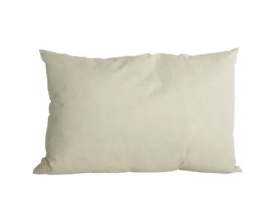 kwalitatief binnenkussen maat 30x50