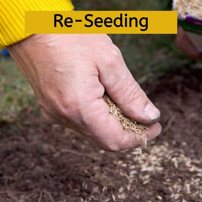 Re-Seeding