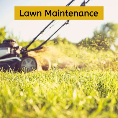 Lawn Maintenance