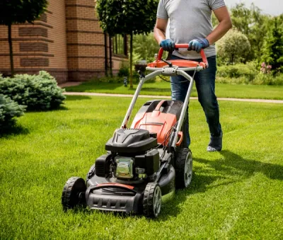 Lawn Maintenance