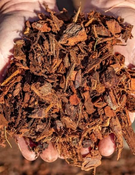 Pine Bark Mulch