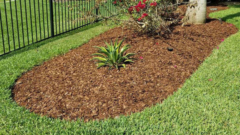Pine Bark Mulch