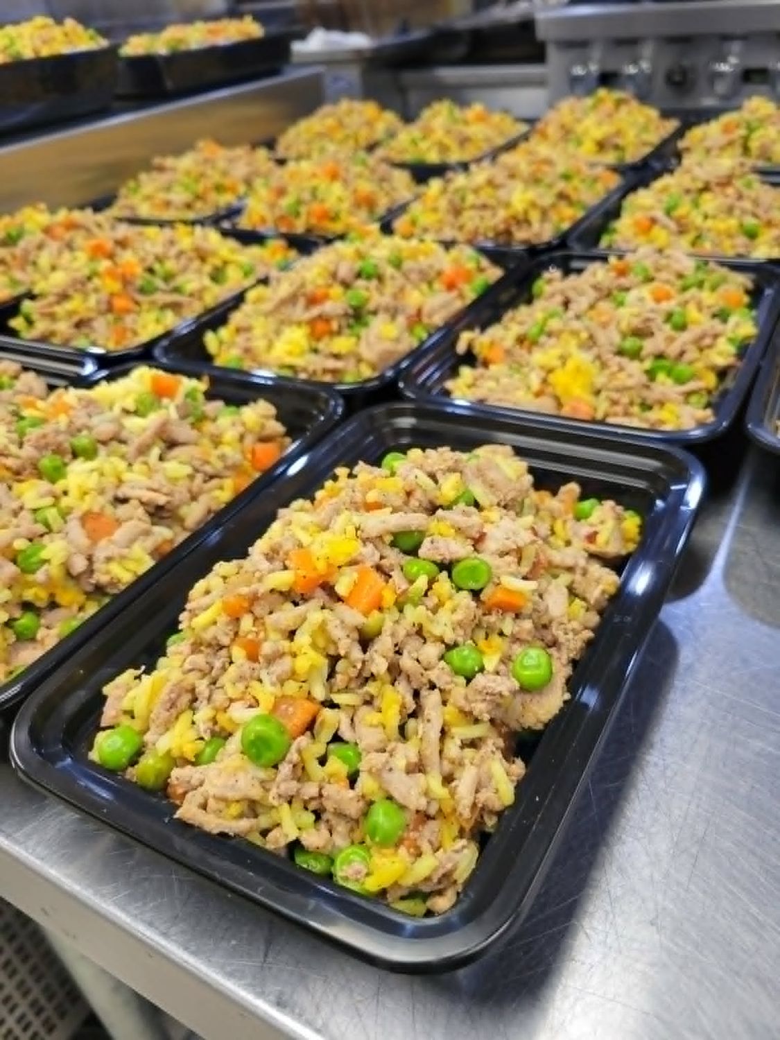 Turkey Fried Rice