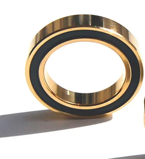 Token Tiramic 699 2RS Keramiklager Bearing 9 x 20 x 6 Titan nitriert