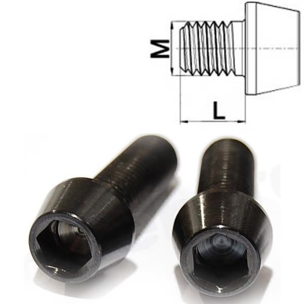 Titanschraube Feingewinde M10 x 30-50 konisch DIN 912 Grade 5 schwarz