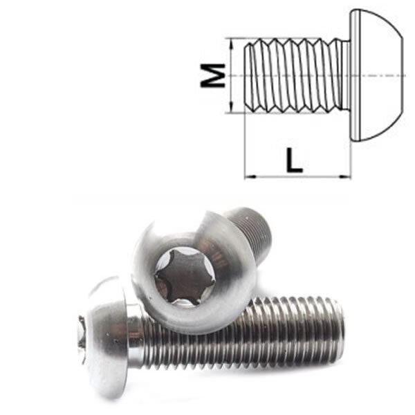 Titan Schraube M8 x 16-45 mm Linsenkopf ISO 7380 Grade 5 Torx