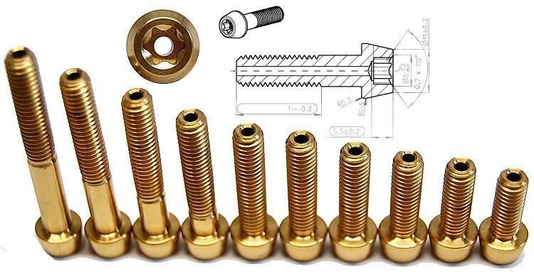 Titan Schraube golden M6 x 16-18-20-22-25-26.5-30-35-40-45 hohl konisch T30