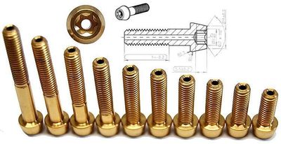 Titan Schraube golden M6 x 16-18-20-22-25-26.5-30-35-40-45 hohl konisch T30