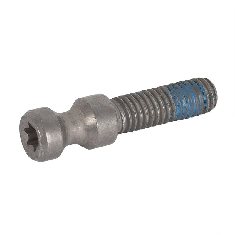 Magura M6 Felgenbremse Schnellspanner Schraube HS11 HS33 Evo2 Torx 25 0720933