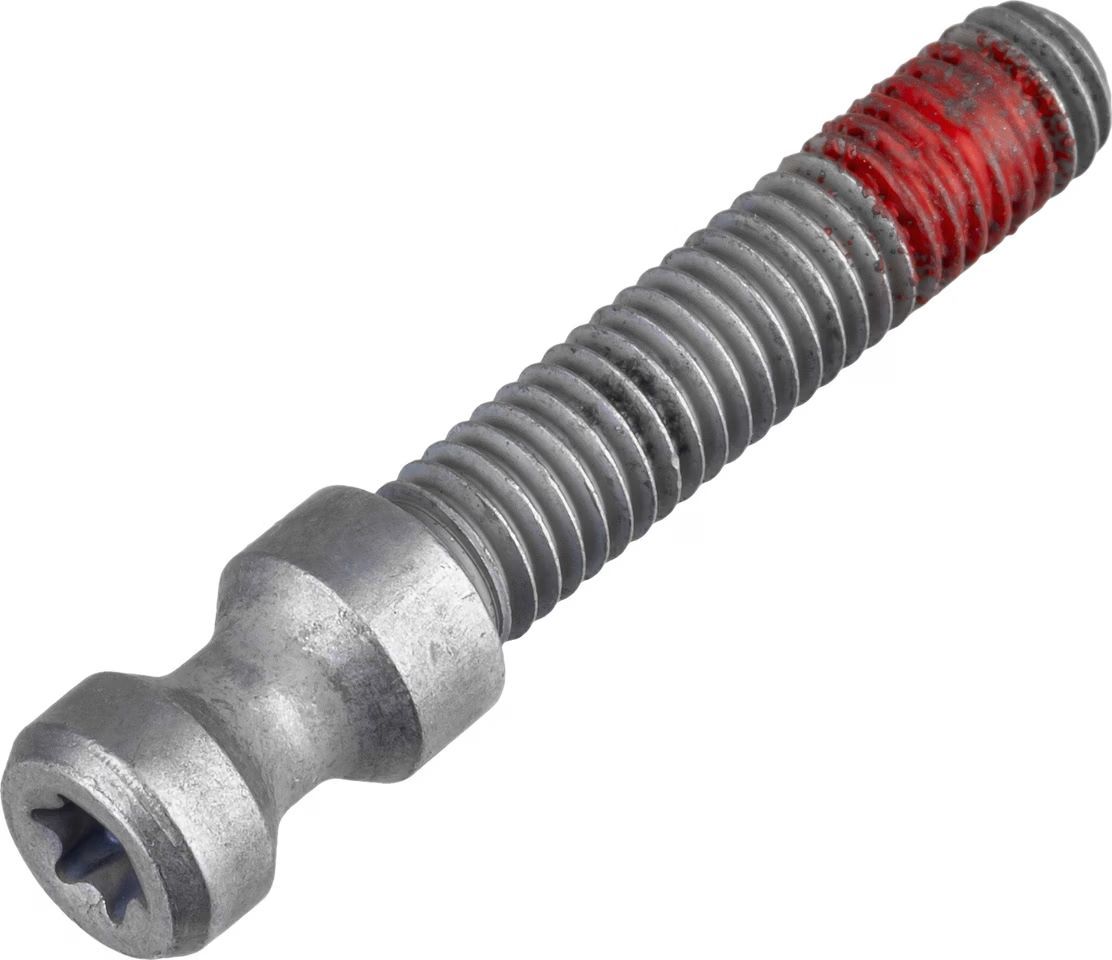 Magura Schnellspanner-Schraube für EASY Mount - T25 Torx  2700693