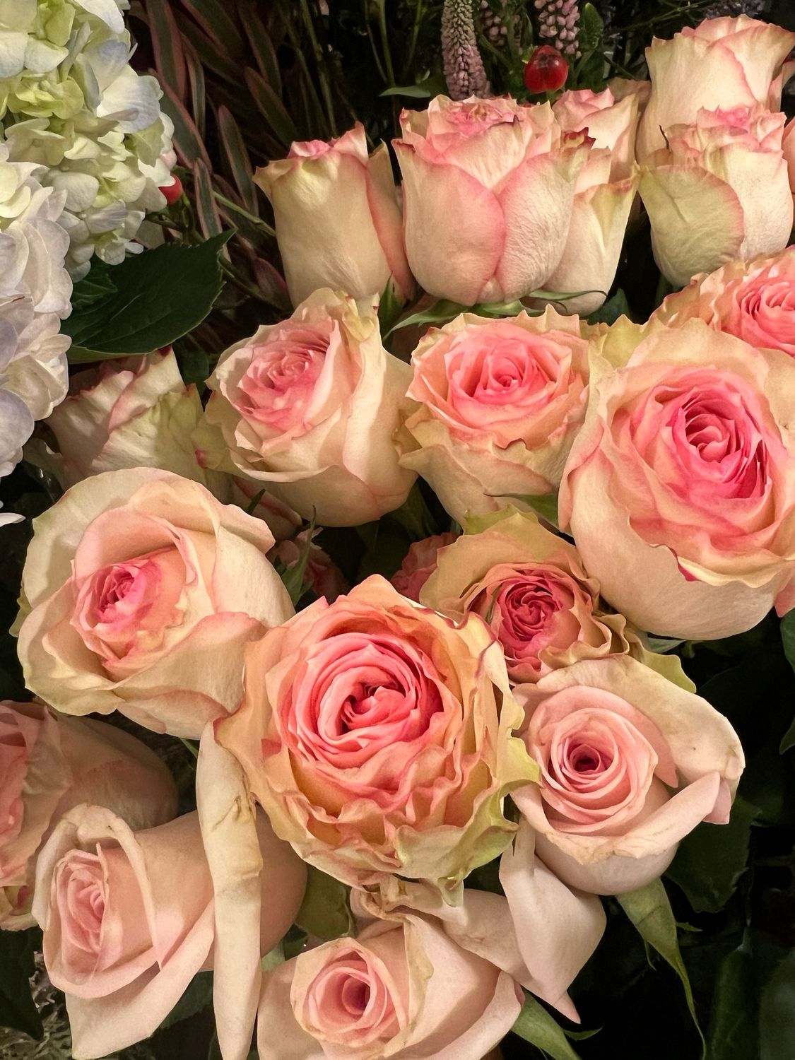Bouquet de roses roses