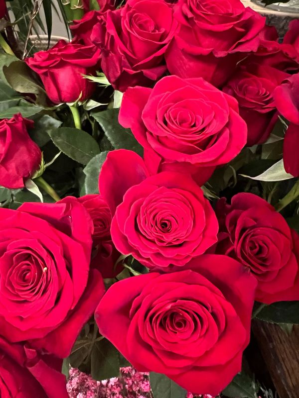 Bouquet de roses rouges