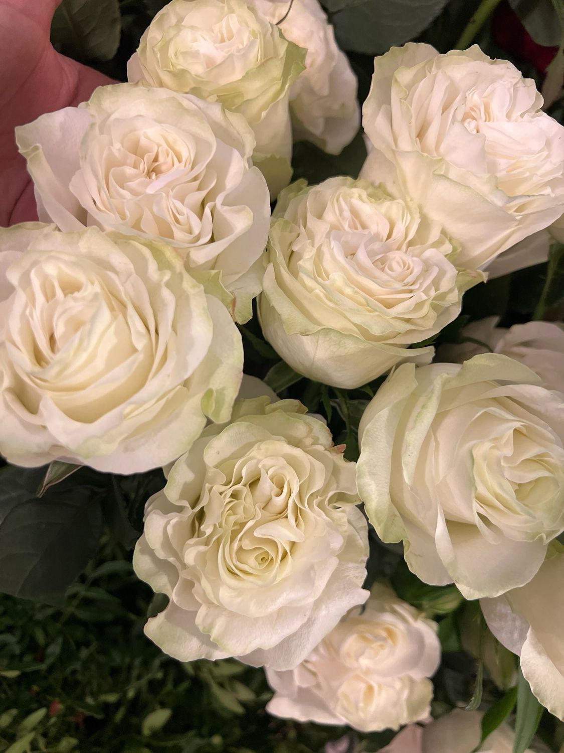 Bouquet de roses blanches