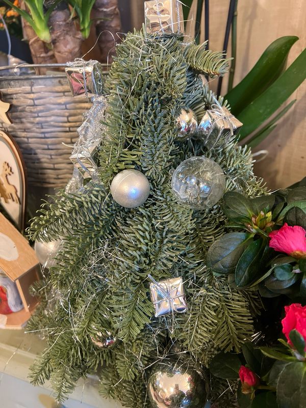 Sapin reconstitué en 3D