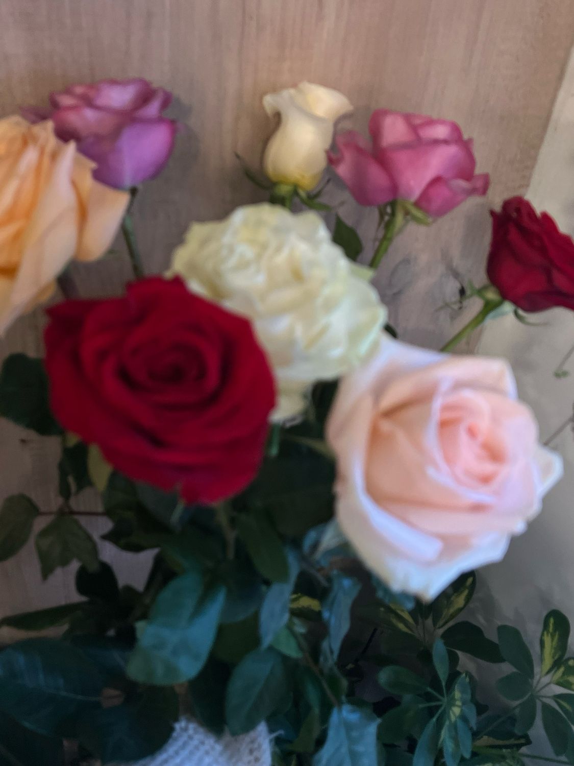 Bouquet de 7 roses variées