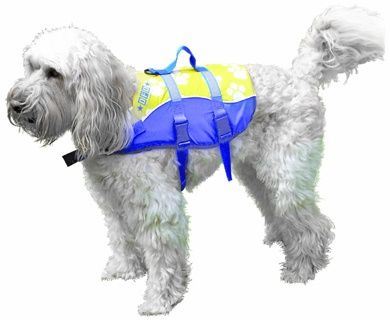 Pfd Dog Vest  34kg+Life Jacket