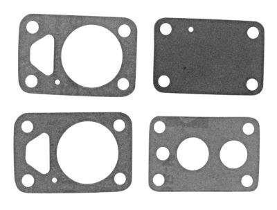 53245A1 Diaphragm Kit