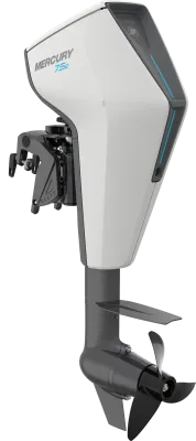 Eletric Motors