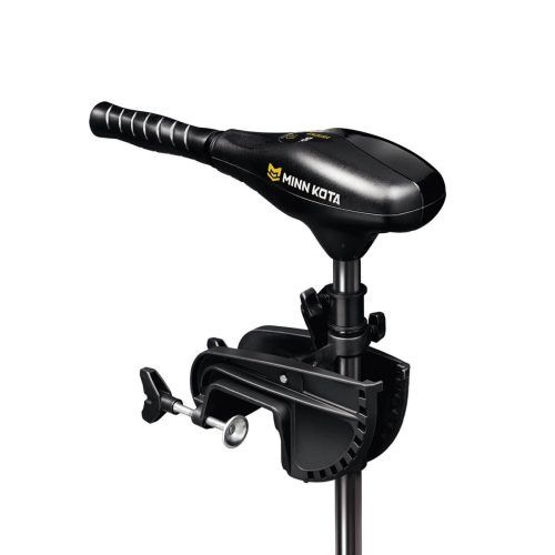 Endura 30 lb Transom Mnt 30" Fresh Water