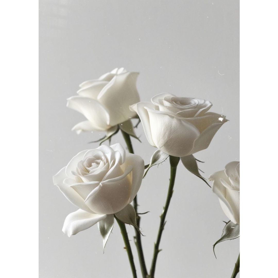Five-Stem White Rose Bouquet