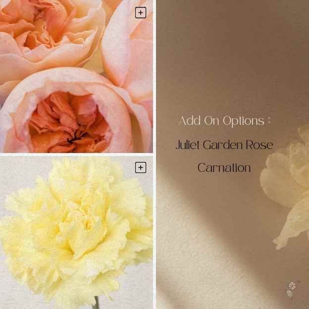 Coco Edit — $40 bouquet of 4 stems, hand-tied in Coco Fleur’s Soft Haze palette.