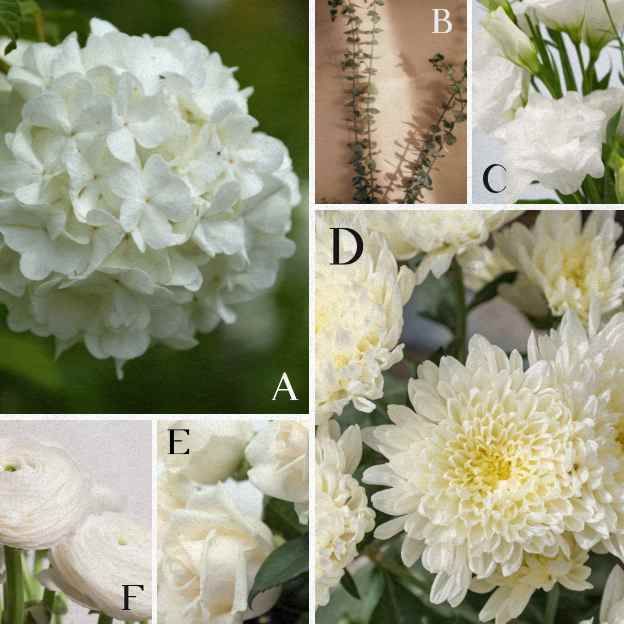 White luxury bouquet ingredients: Hydrangea, Eucalyptus, Chrysanthemum, Roses, and Ranunculus.