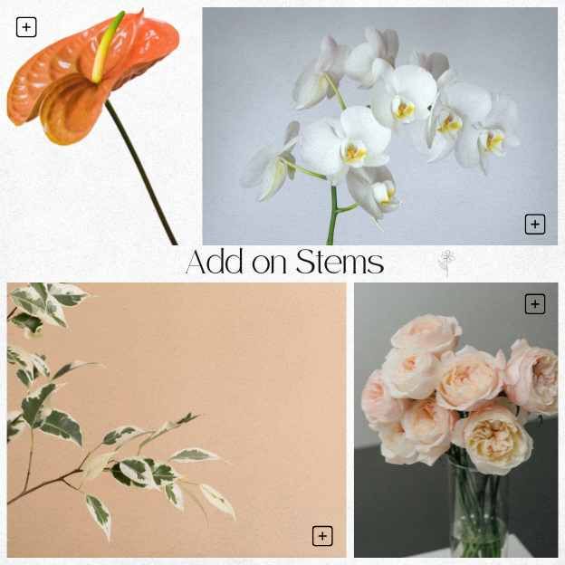 Editorial add-on stems: White Phalaenopsis Orchid, modern Orange Anthurium, highly-scented Juliet Garden Rose