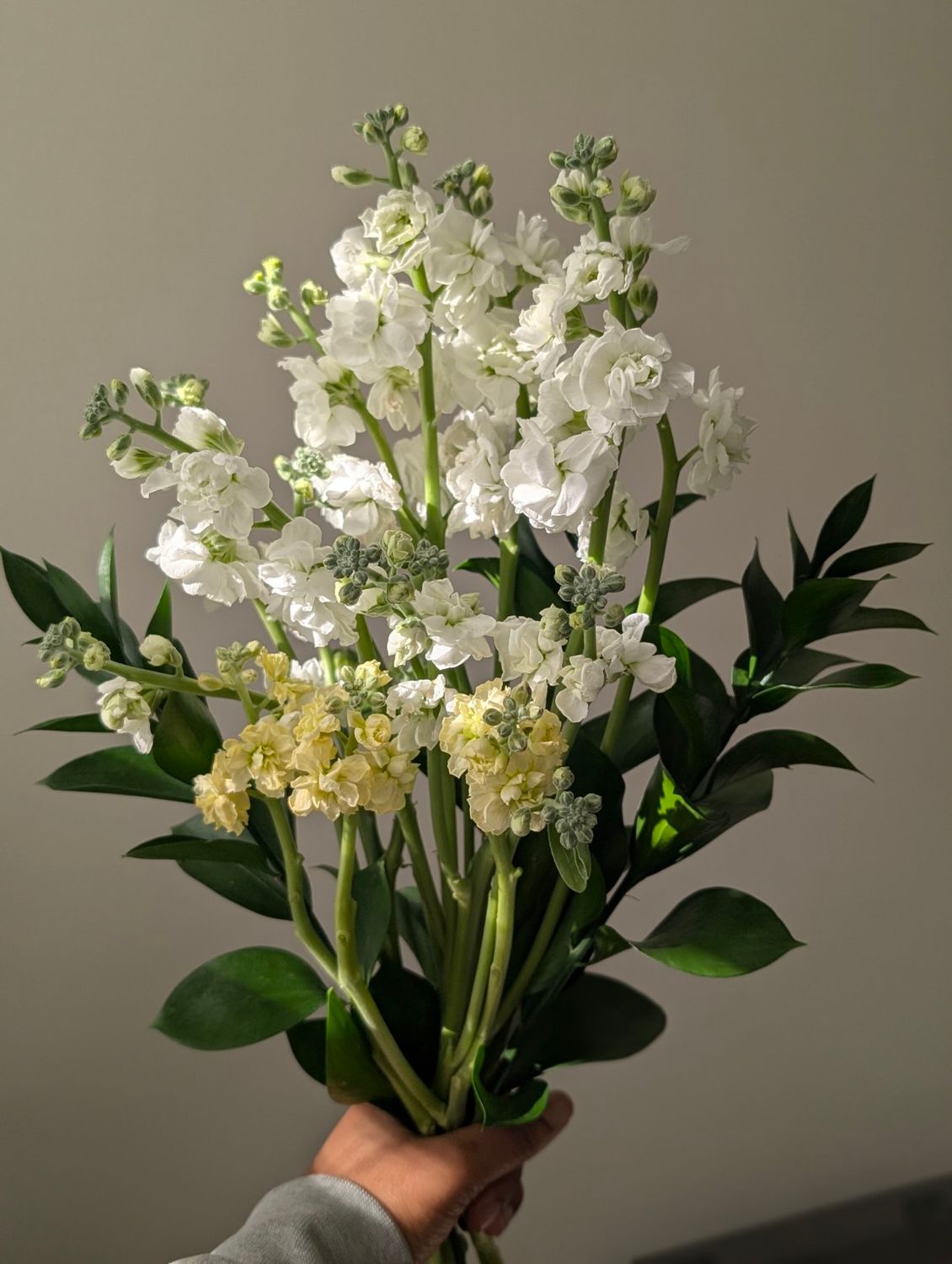 Cream and white stock bouquet styled in a minimalist winter palette.