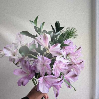 Lavender alstroemeria bouquet with winter greens, hand-held against a soft neutral wall in natural window light.