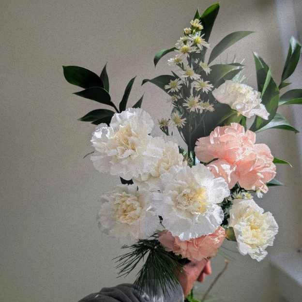 Close-up of blush and white carnations with pine and ruscus, styled in a minimalist winter palette