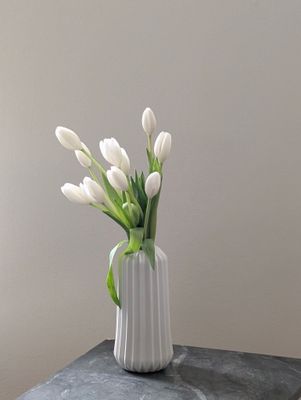 Ease No. 05 — Warm Silence