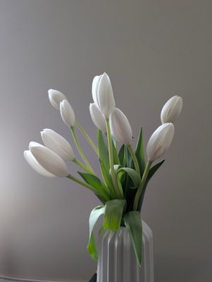 Ease No. 05 — Warm Silence