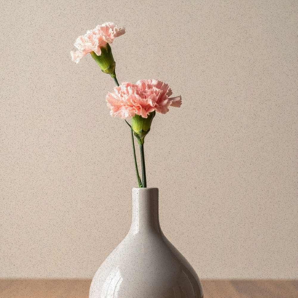 "Tonal blush and yellow carnation study captured in warm natural winter sunlight, high-end lifestyle floral aesthetic.