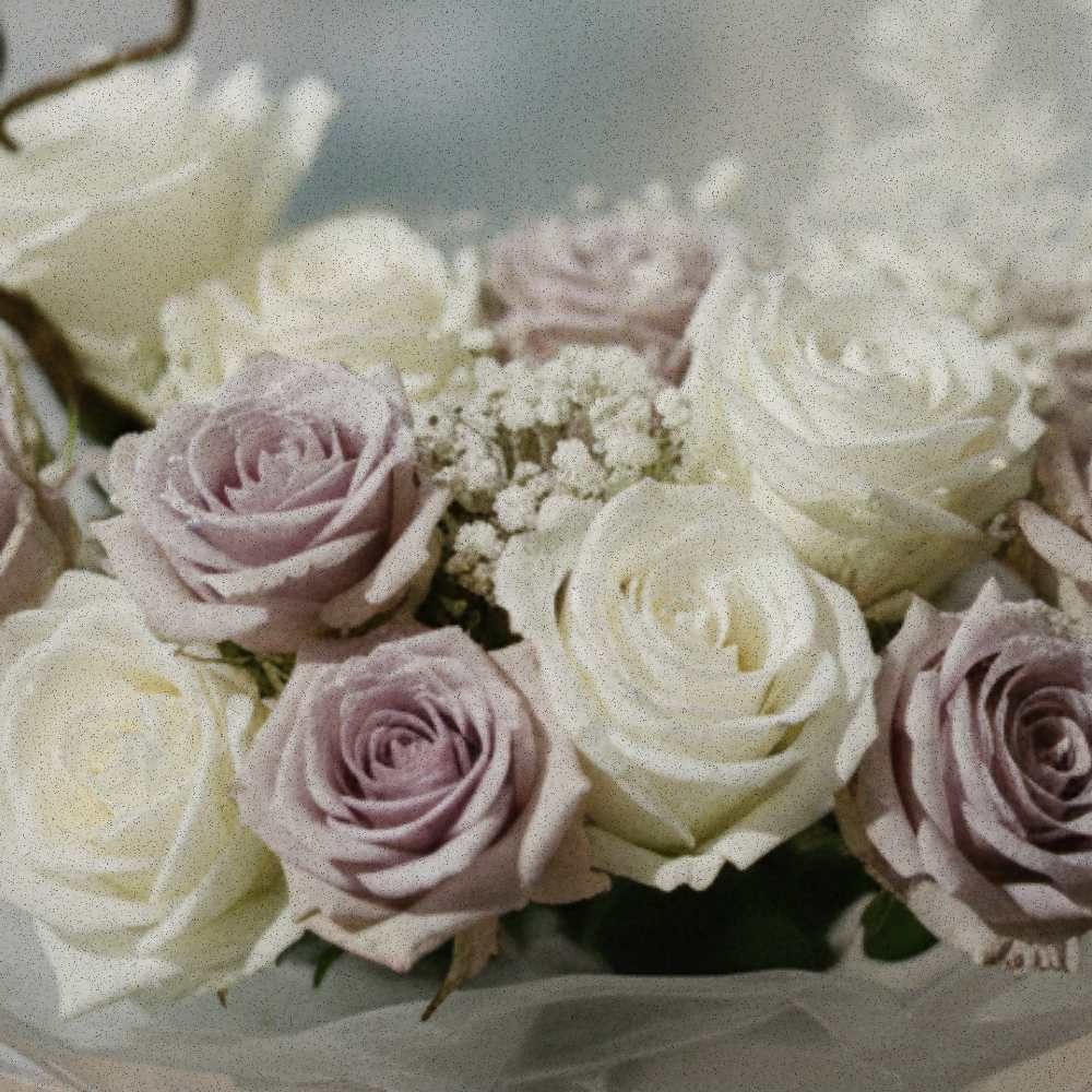 White and stone-lilac roses grouped closely, creating a soft, tonal floral study.