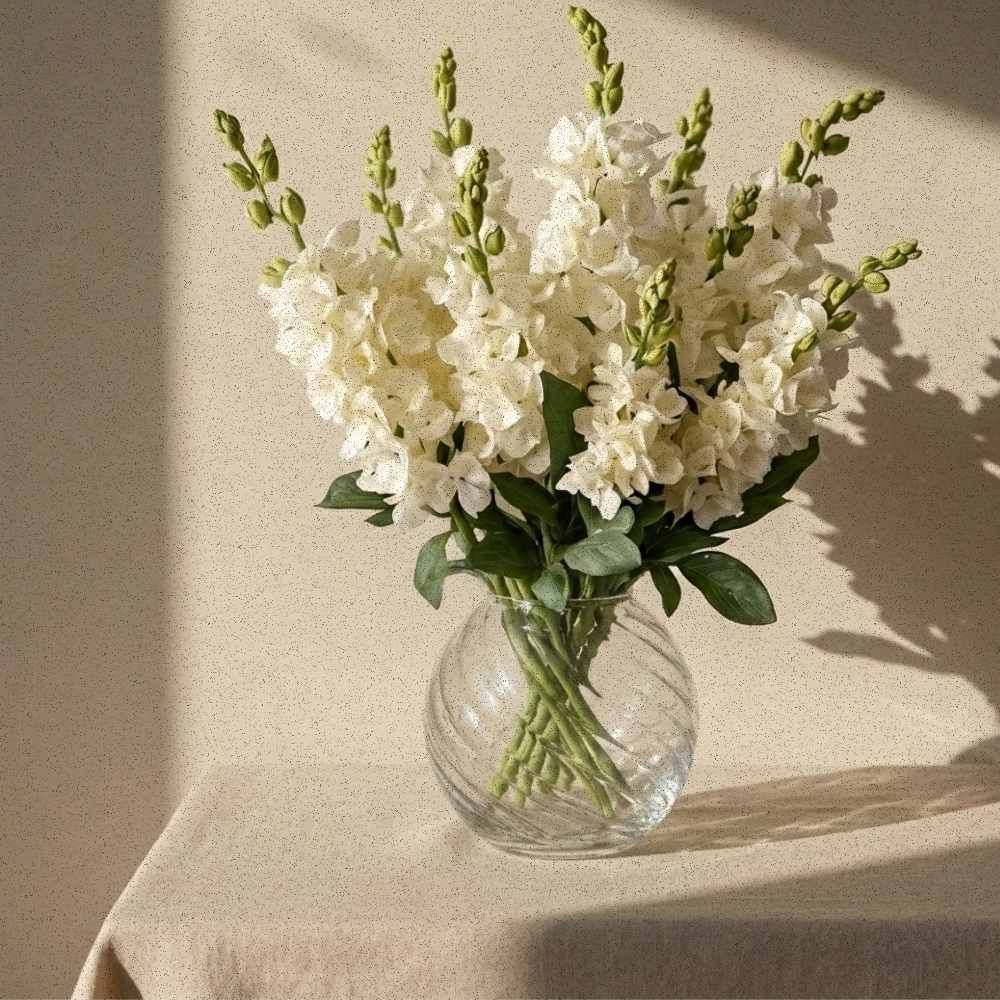 Ease No. 01 — Winter Light