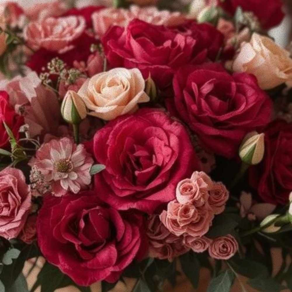 Desire No. 02 — Velvet