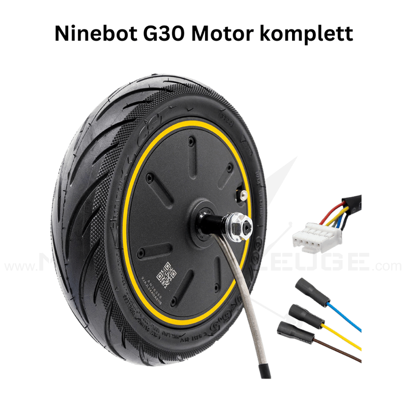 Ninebot Max G30 Motor 36V 350W 6,5/B50